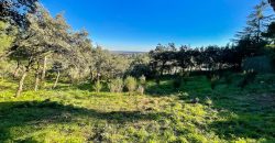 Fabulosa parcela de 1.780 metros cuadrados en la urbanización JaraBeltrán, Valdemorillo con excepcionales vistas.