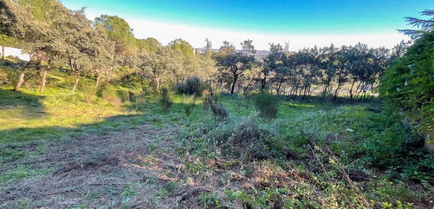 Fabulosa parcela de 1.780 metros cuadrados en la urbanización JaraBeltrán, Valdemorillo con excepcionales vistas.