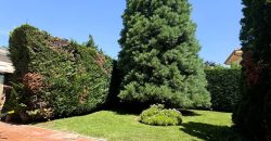 FABULOSO CHALET INDEPENDIENTE en la Sierra de Guadarrama. Los Molinos-Madrid