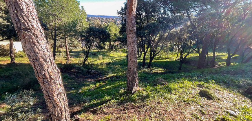 Fabulosa parcela de 1.780 metros cuadrados en la urbanización JaraBeltrán, Valdemorillo con excepcionales vistas.