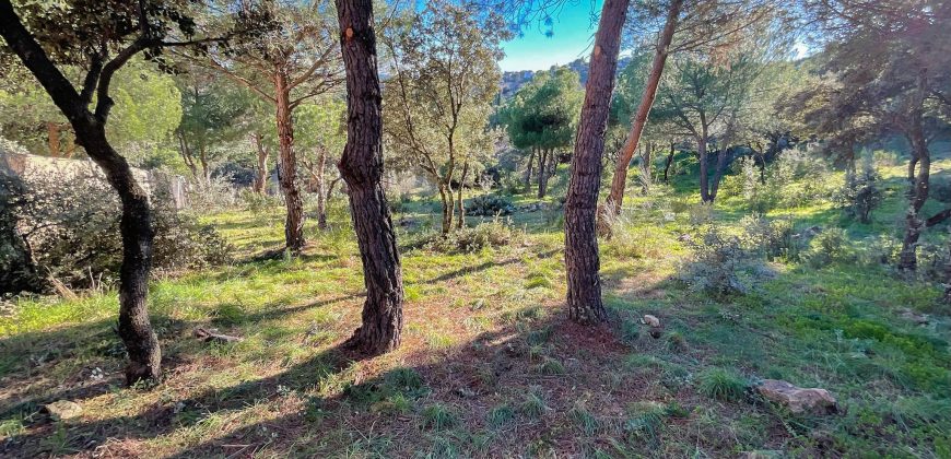 Fabulosa parcela de 1.780 metros cuadrados en la urbanización JaraBeltrán, Valdemorillo con excepcionales vistas.